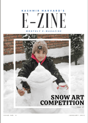 Snow Art Competition 2021